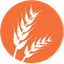 Gluten